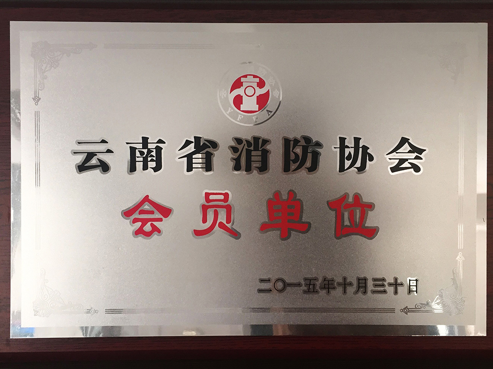 云南消防协会 会员单元